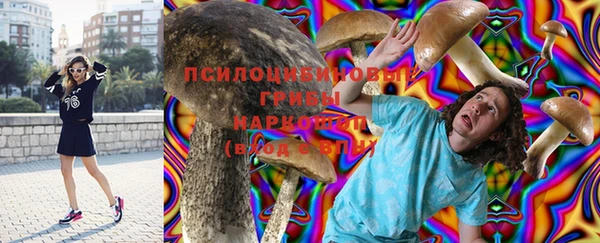 mix Надым