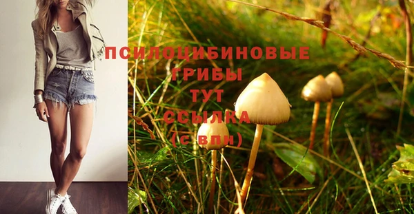 mix Надым