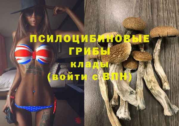 тгк Наволоки
