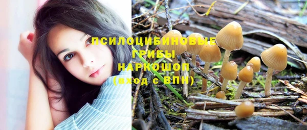 тгк Навашино