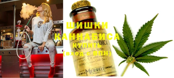 mix Надым