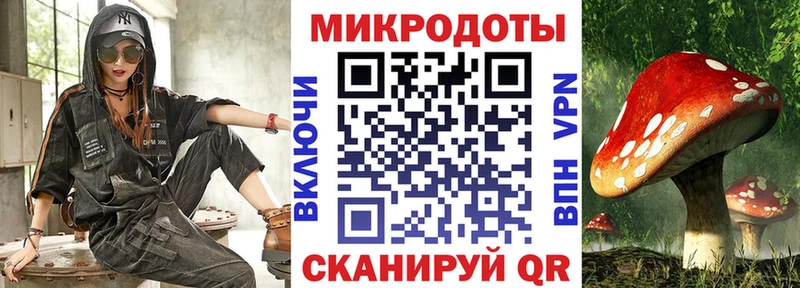 где продают   Западная Двина  Псилоцибиновые грибы мицелий 